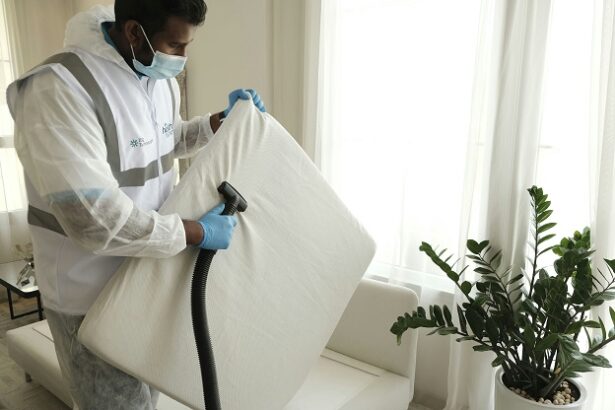 cleaning habits