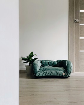 pet-friendly home