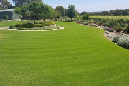 What to Consider Before Choosing a Couch Lawn